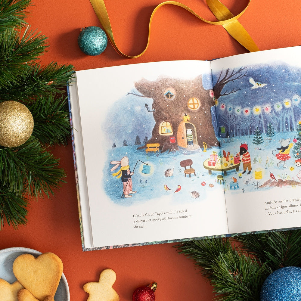 Livre Le Noël de la Grande famille