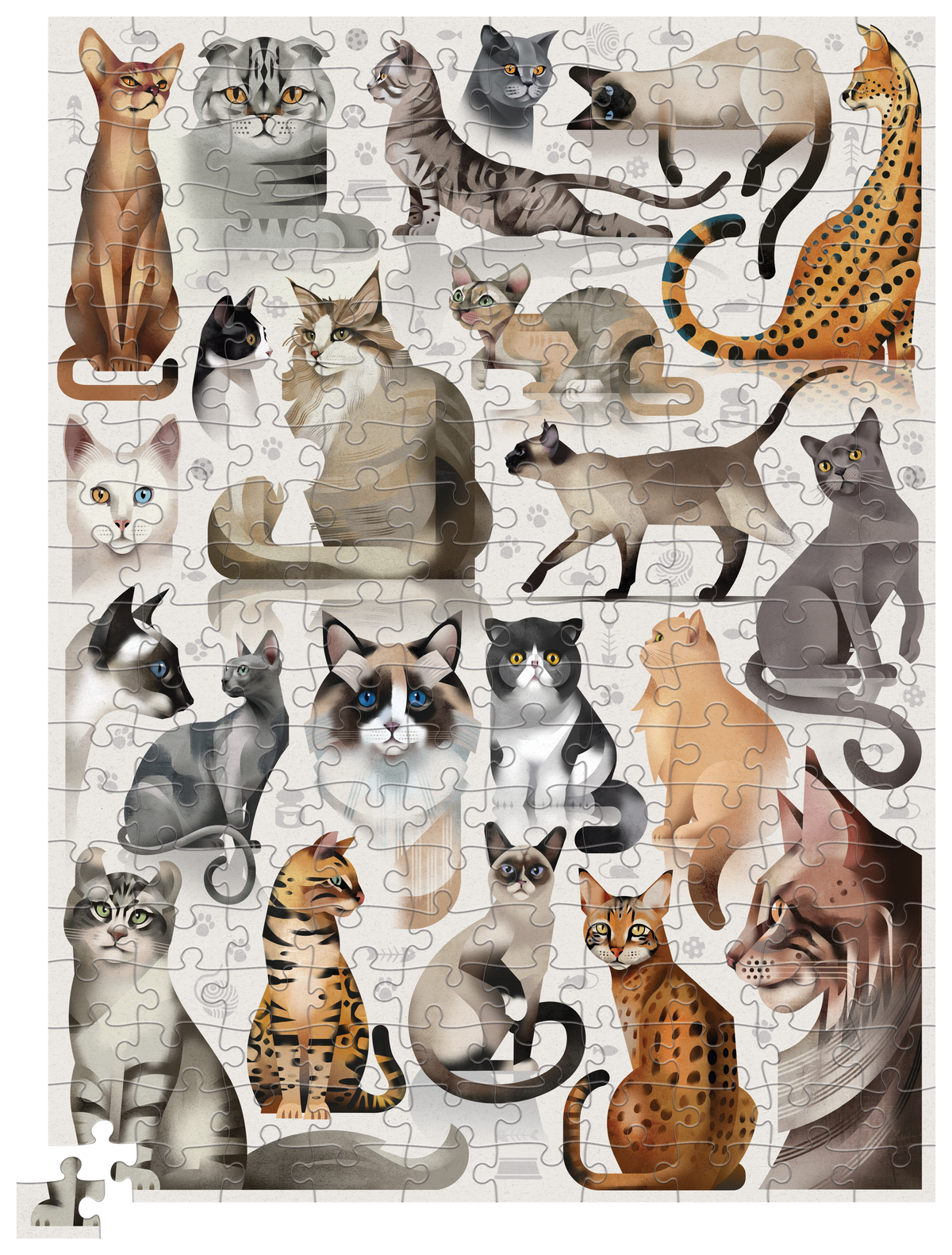 Puzzle + Poster - 200 pièces - Puzzle + Poster Animaux du monde - 6a+