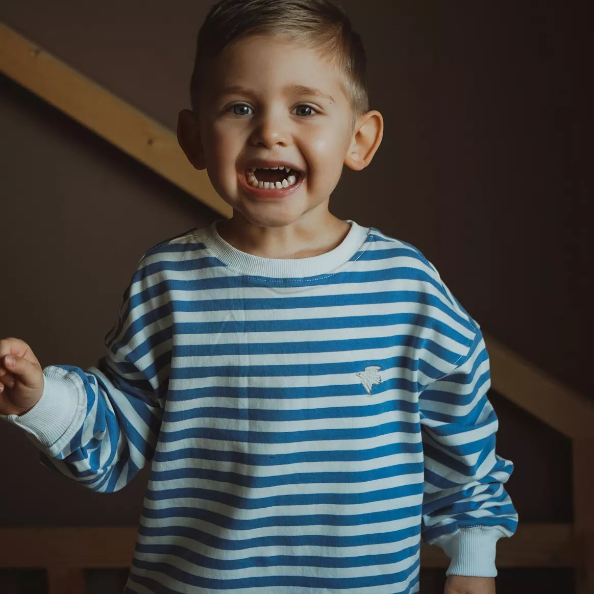 sweat-shirt doux à rayures avec broderie « Möve »