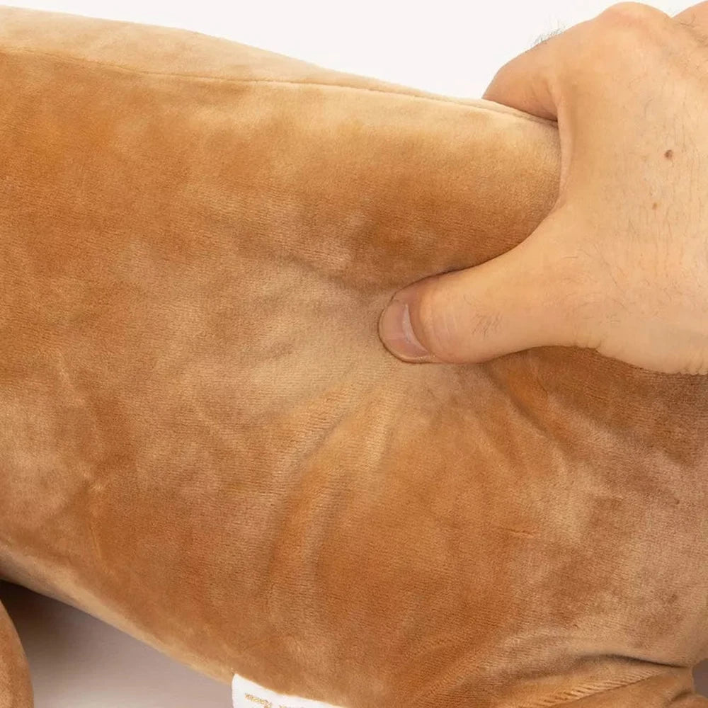 Peluche Nemu Nemu Cookie - Ours Brun - Taille L - 53 cm