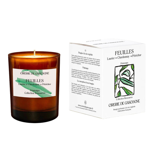 Bougie parfumée Feuilles Laurier - Chardonnay - Pétrichor 180g