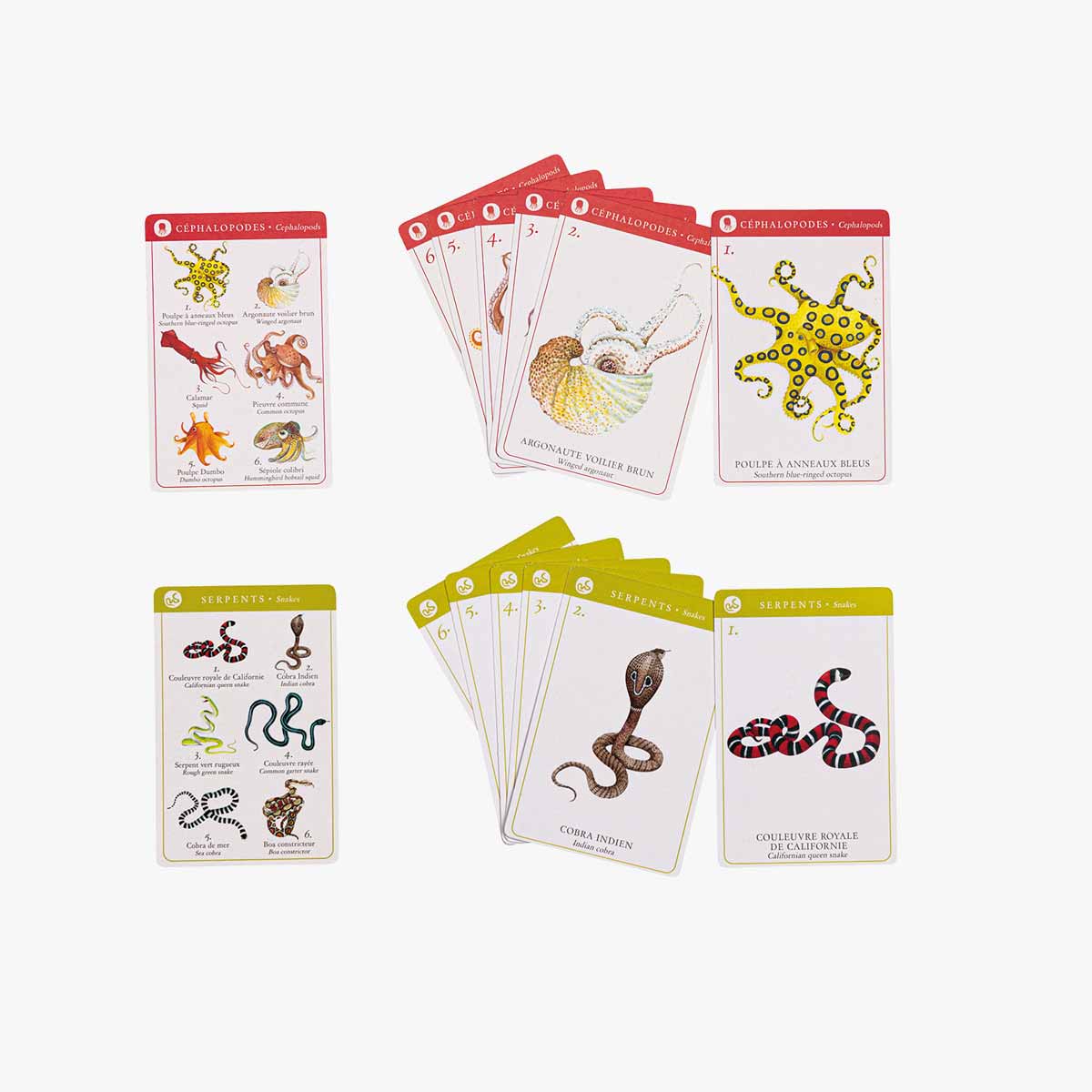 Moulin Roty 7 Families species game Céphalopodes and Serpents cards