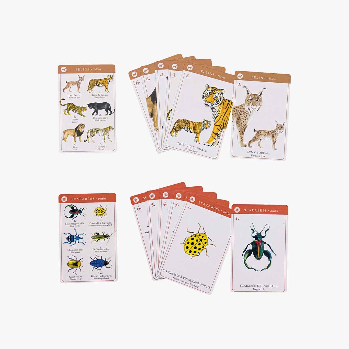 Moulin Roty 7 Families species game Felins and Scarabées cards