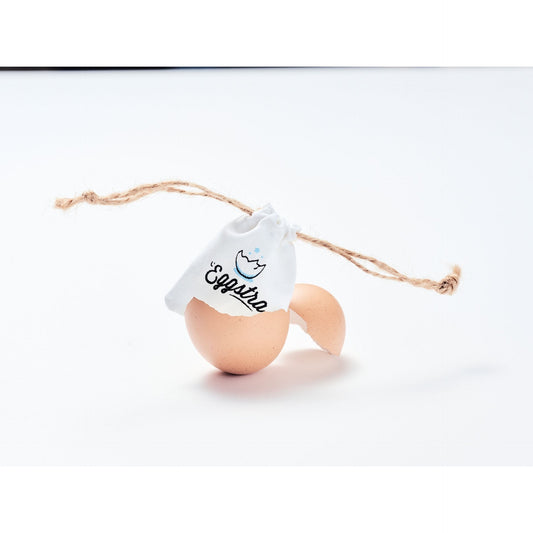 L'Eggstra- CROCODILE
