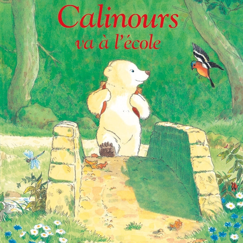 Livre Calinours va à l'école de Frédéric Stehr et Alain Broutin
