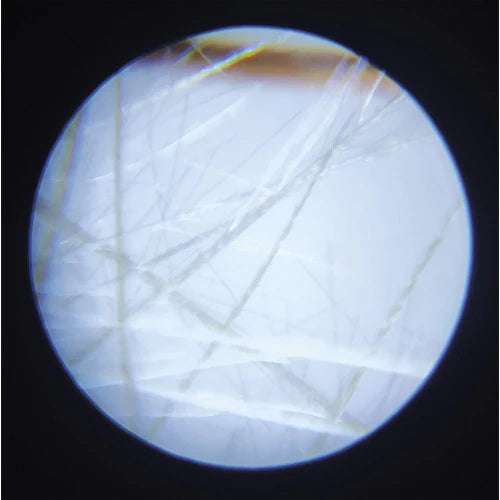 Microscope de Poche