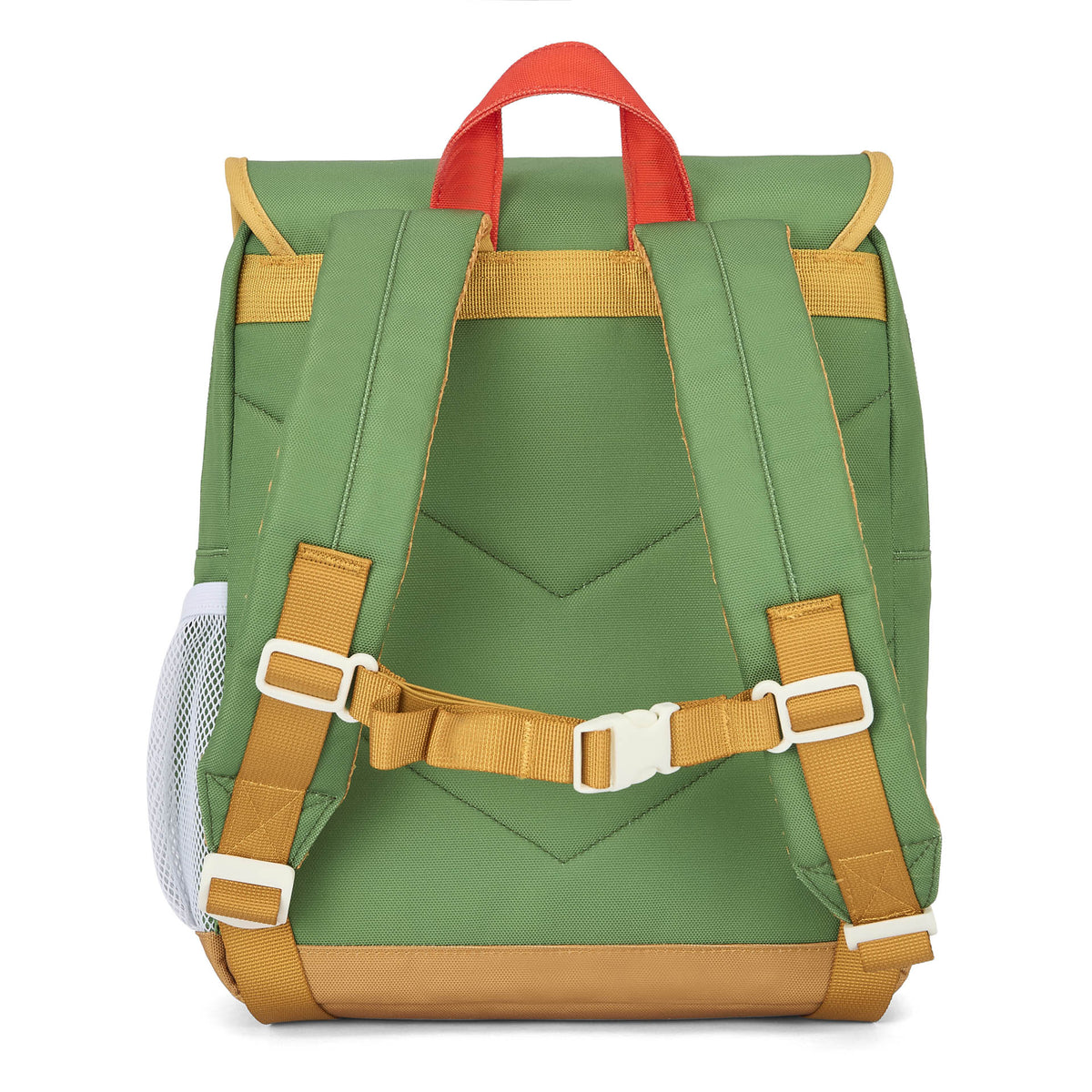 Rear view of green kids backpack with padded straps and waist belt