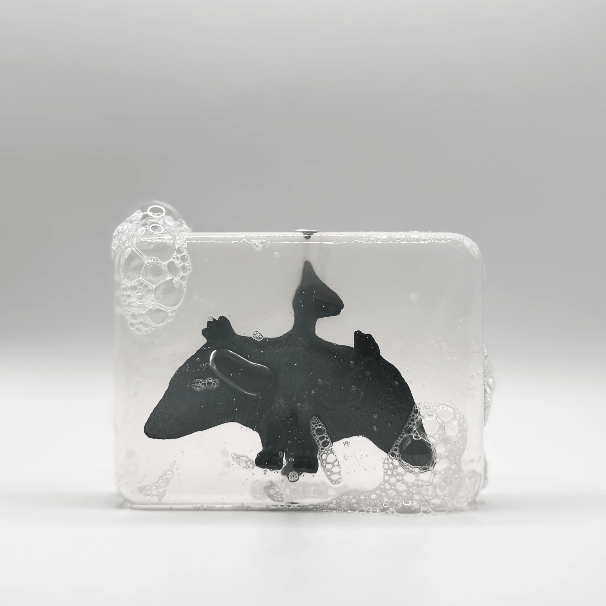 Savon Dinosaure Ptéranodon