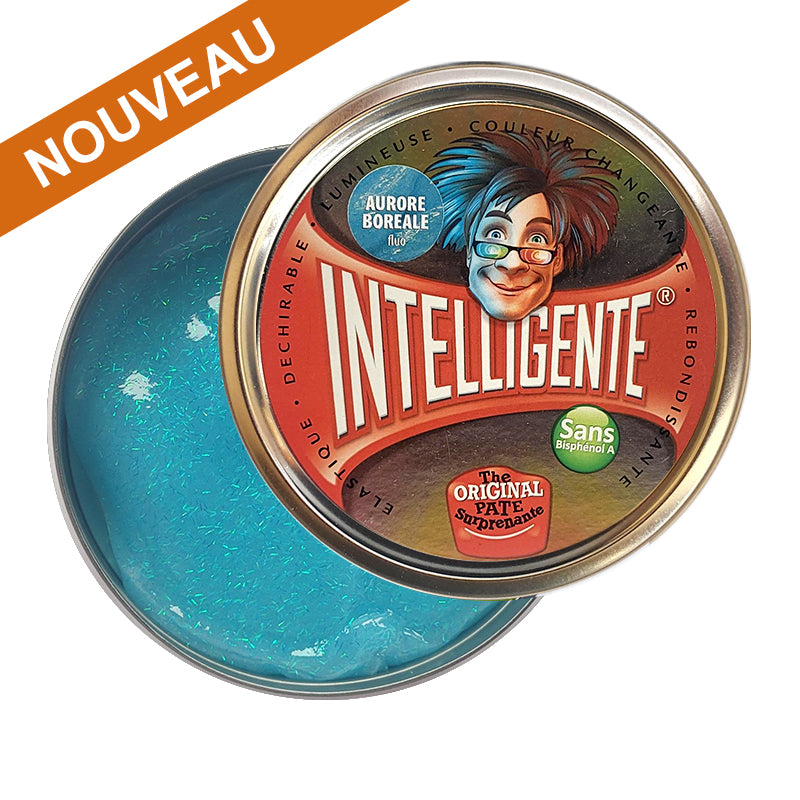 PATE INTELLIGENTE Aurore Boréale