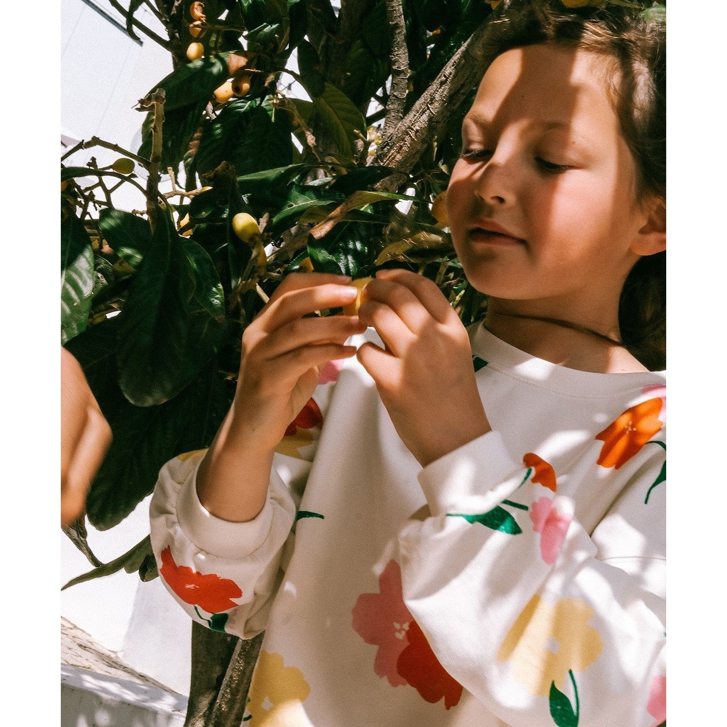 Le sweat Sam en coton bio - Anémones bouquet